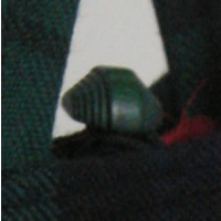 slideshow